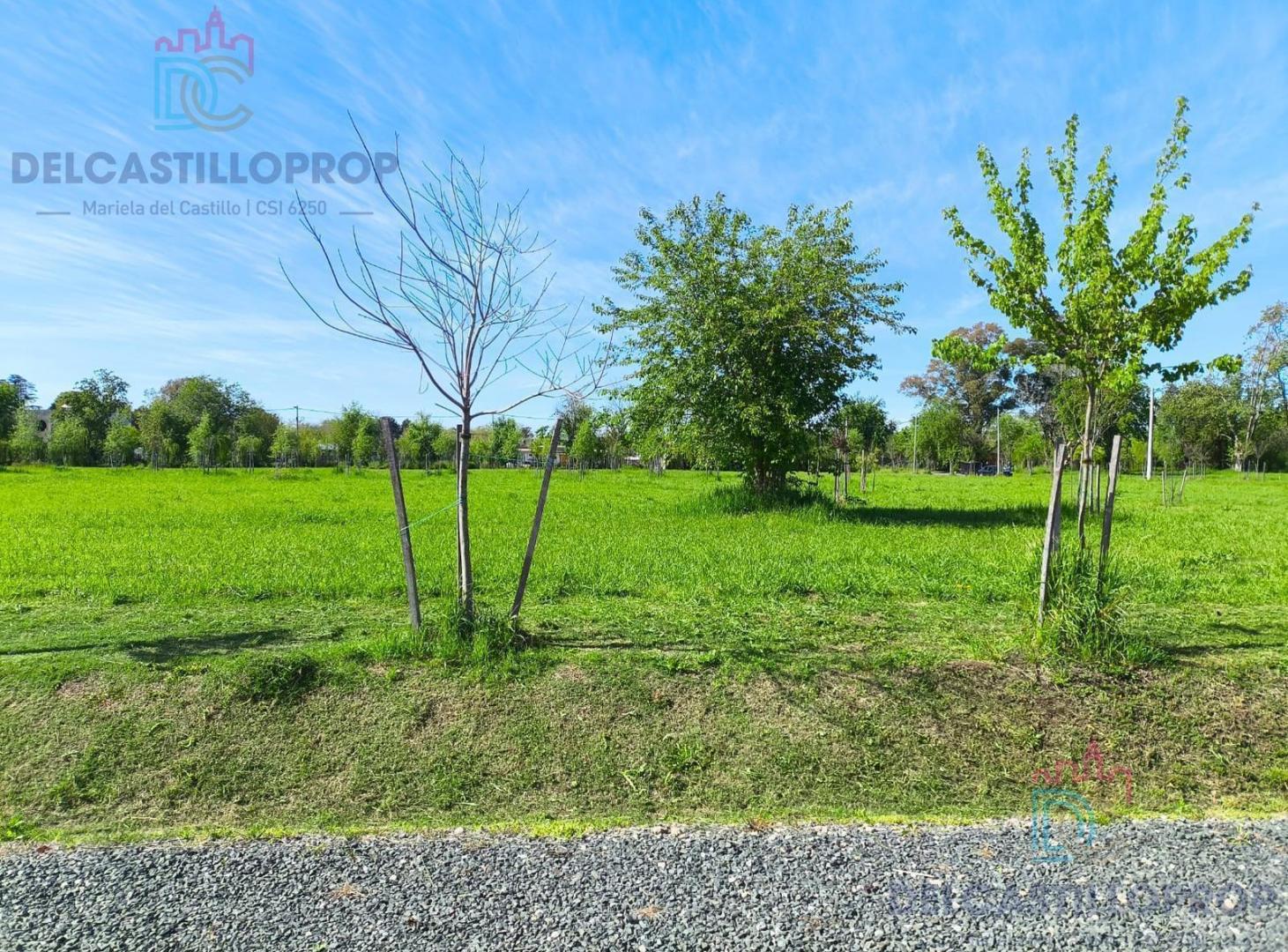 Foto de Lotes en venta Ecochacras, imagen 3