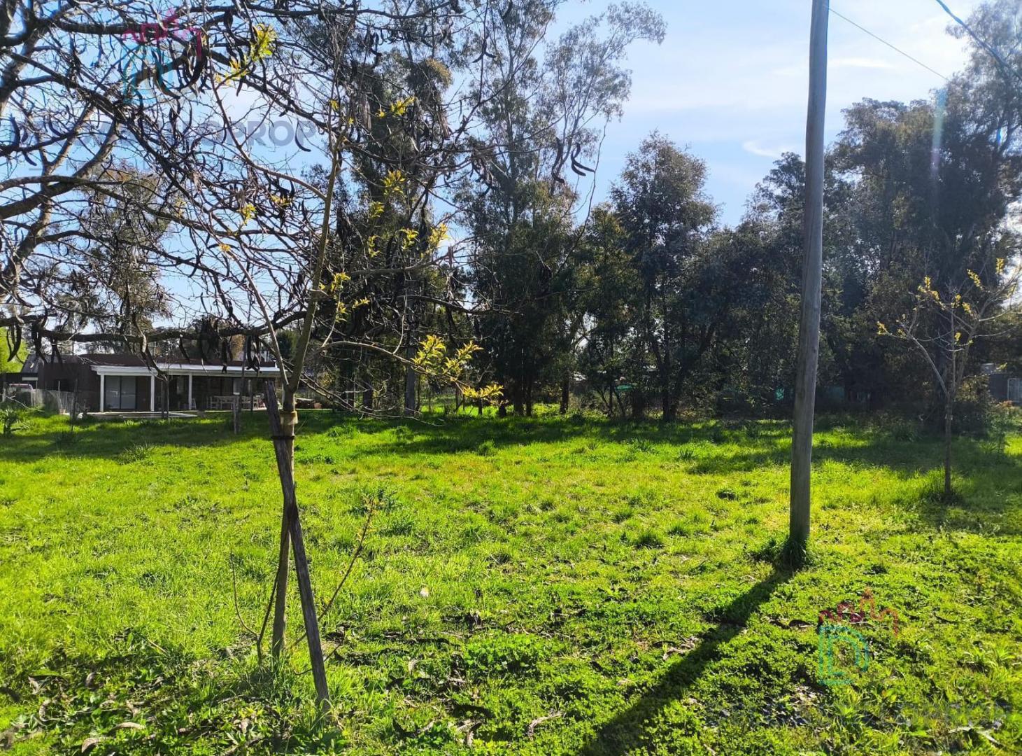 Foto de Terreno en Esc.-B.Belen, imagen 1