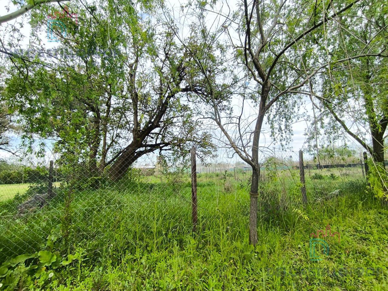 Foto de Terreno en Esc.-B.Belen, imagen 5