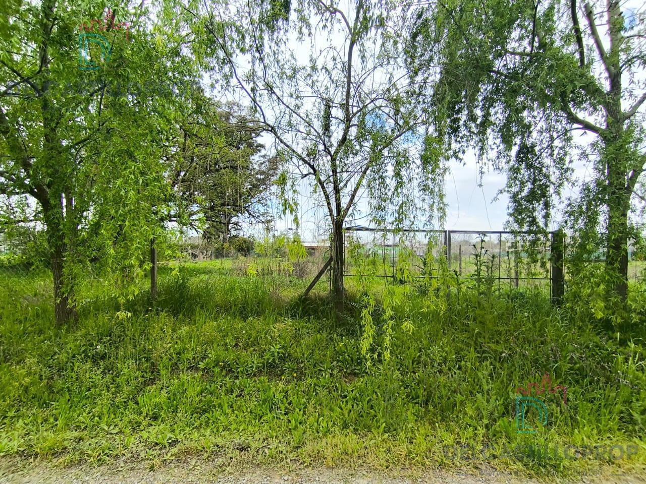 Foto de Terreno en Esc.-B.Belen, imagen 2