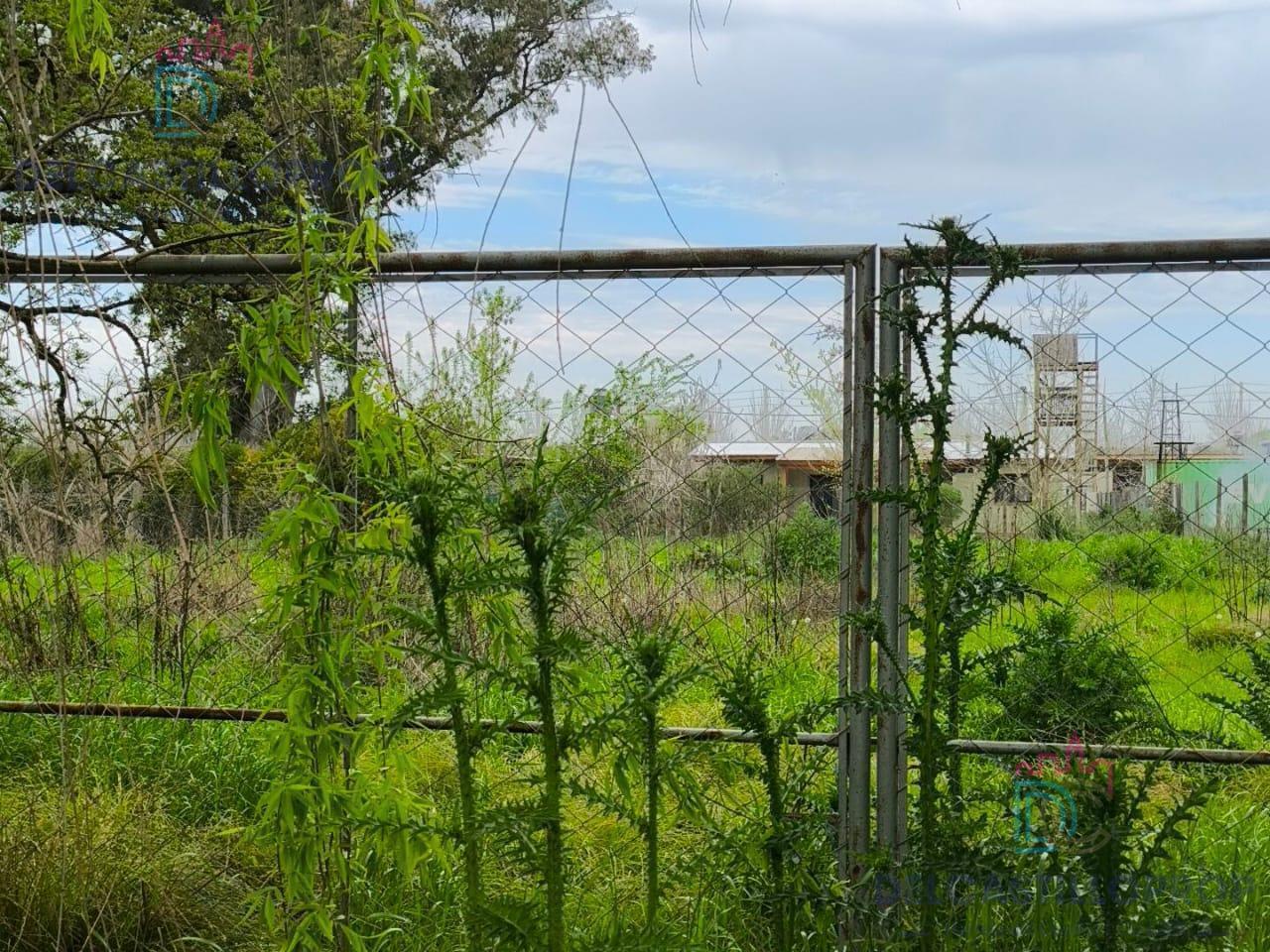 Foto de Terreno en Esc.-B.Belen, imagen 3