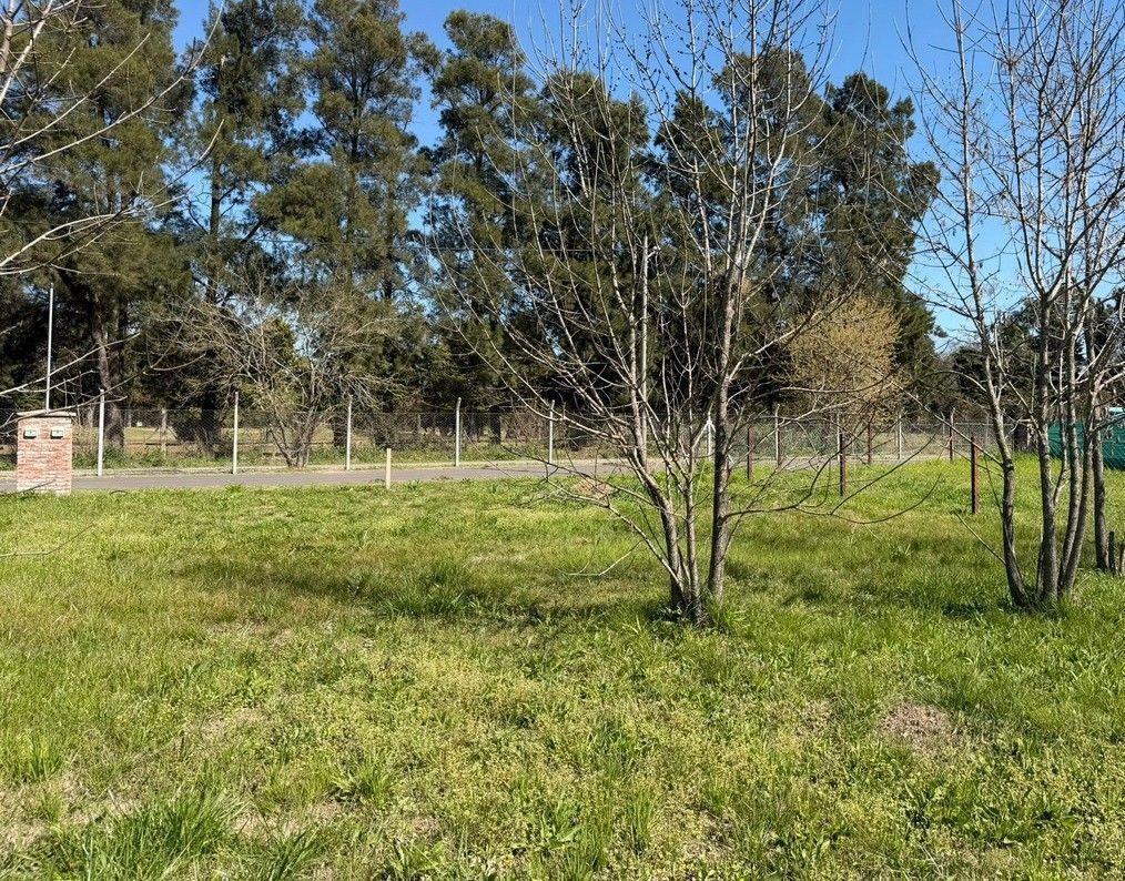 Foto de Venta Lote La Pampa Pilar, imagen 4