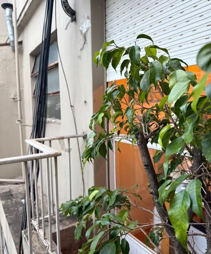 Departamento de 35 m² con 1 dormitorio en venta en Belgrano 3