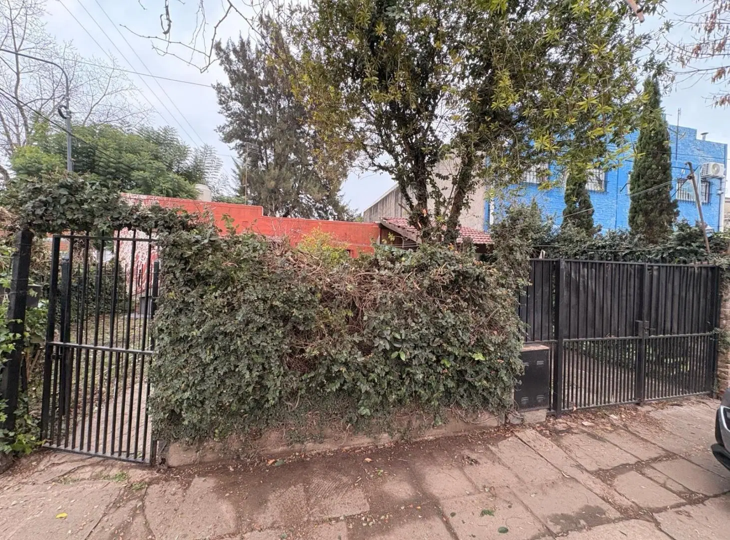 Casa - Ricardo Rojas 3