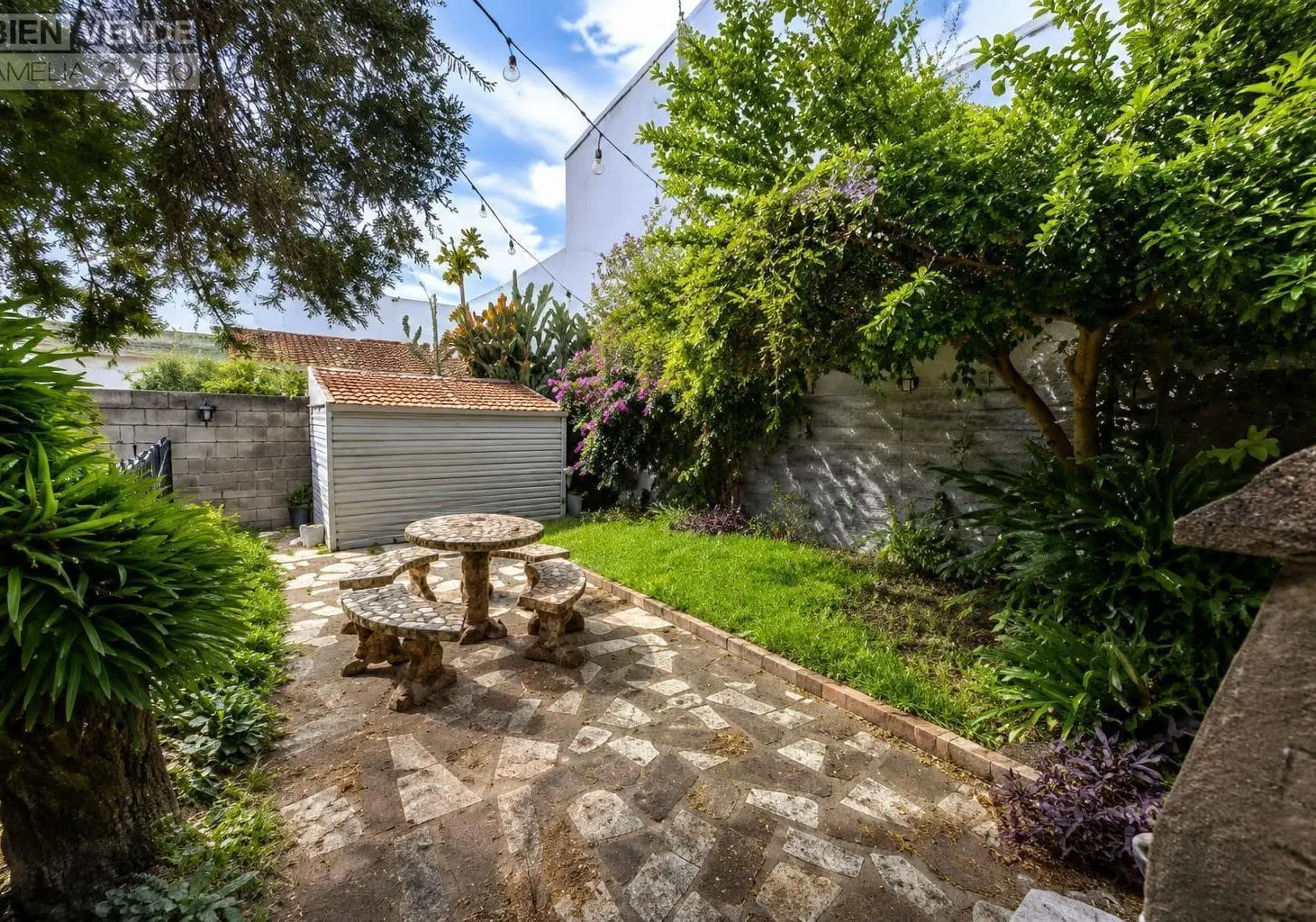 VENTA CASA SOBRE LOTE PROPIO 300m2 | 3 DORMITORIOS | JARDÍN Y PILETA | COCHERA | FLORIDA ESTE 4