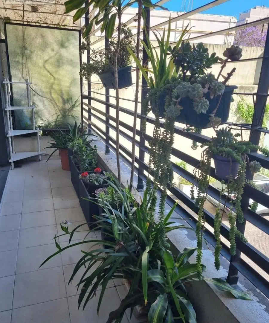 EXCELENTE DEPARTAMENTO EN VENTA CON BALCÓN Y PATIO PROPIO 5