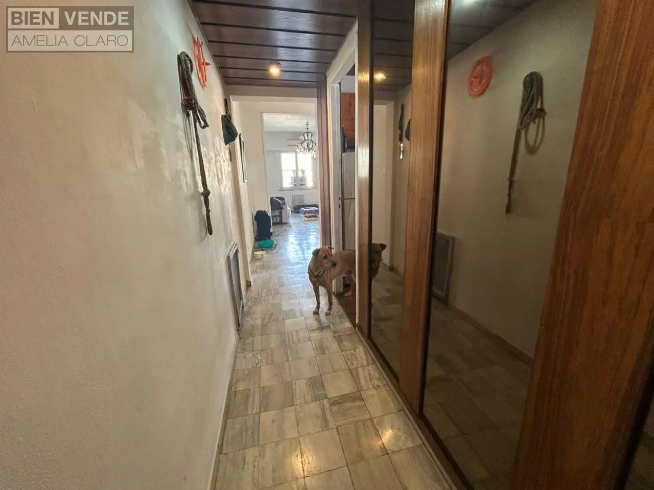 Departamento en Colegiales 8