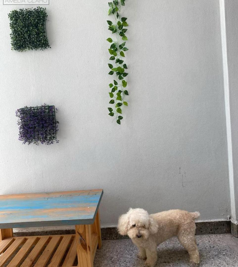 Foto de Venta | Excelente 2 Ambientes con Patio en Belgrano R / Villa Ortúzar |, imagen 5