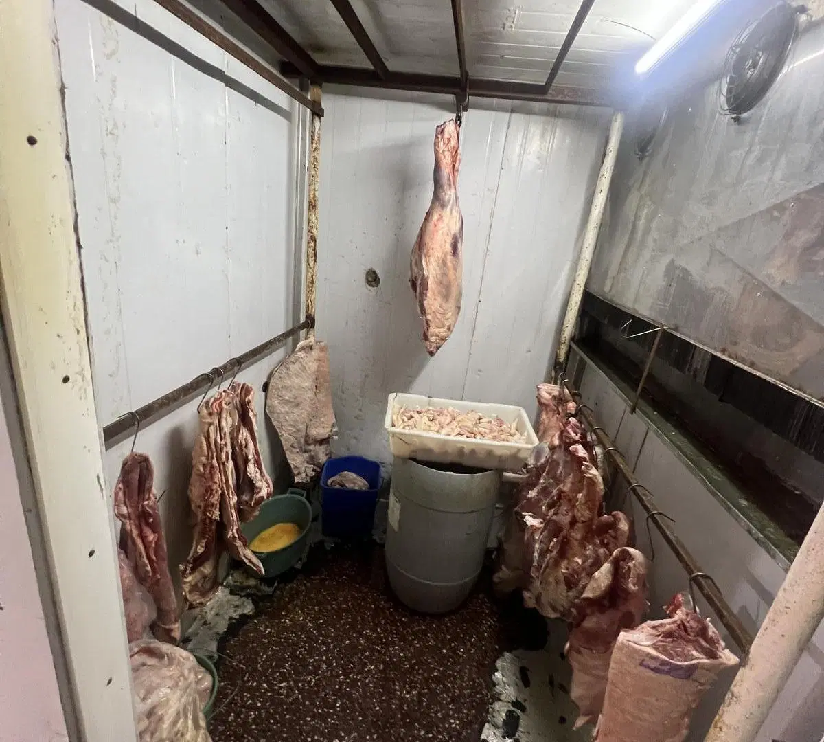 FONDO DE COMERCIO CARNICERIA. 4