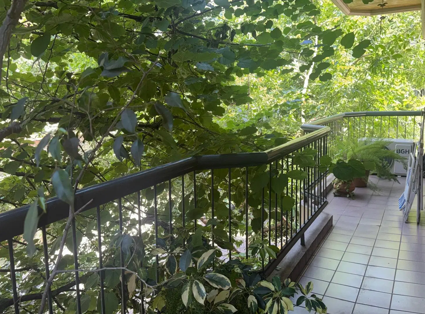 Senillosa y Gayaquil 2do piso frente balcon 4 c/dep 2 cochreas 3
