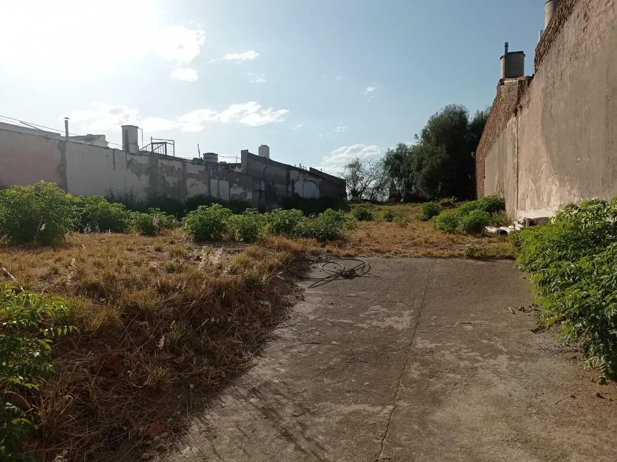 Terreno en venta / alquiler - San Martin 1