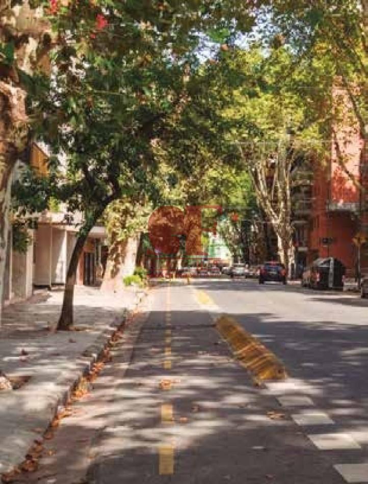 En El Lado Verde de Belgrano. Proyecto Joven en un Barrio Consolidado. 3