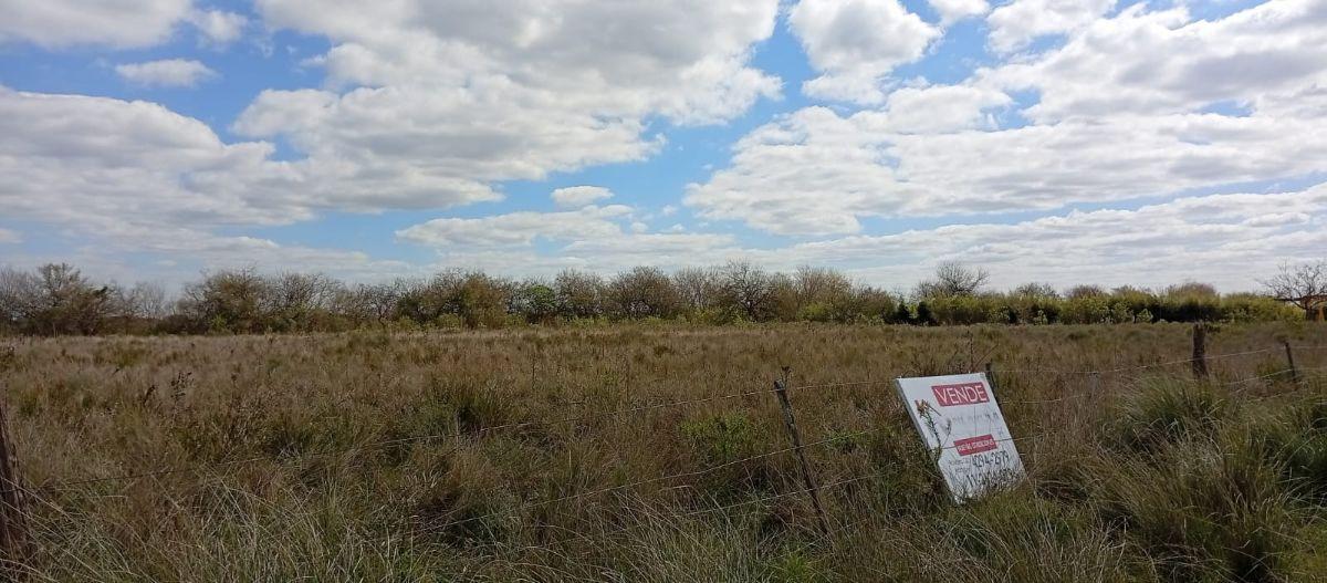 Foto de VENTA DE LOTE en FLORENCIO VARELA, imagen 4