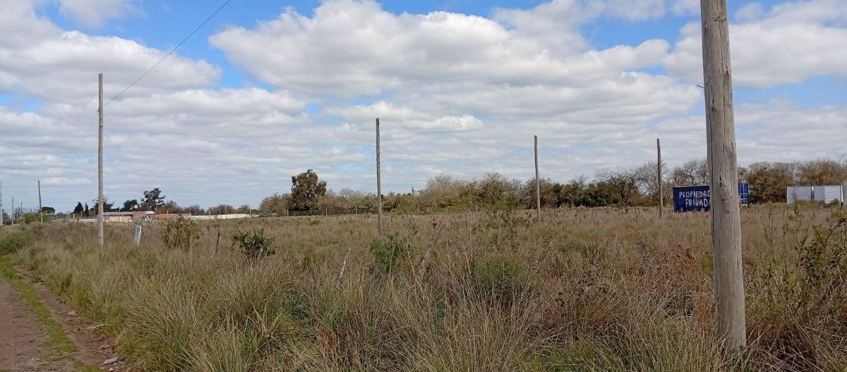 Foto de VENTA DE LOTE en FLORENCIO VARELA, imagen 3