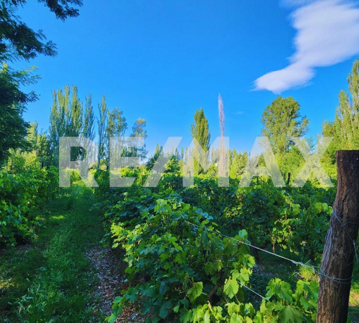 En Venta | 1hectárea | Los Canales | Plottier 4