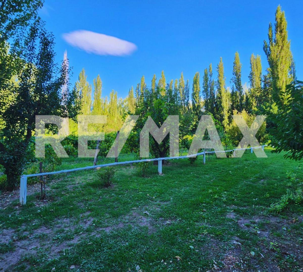 En Venta | 1hectárea | Los Canales | Plottier 3