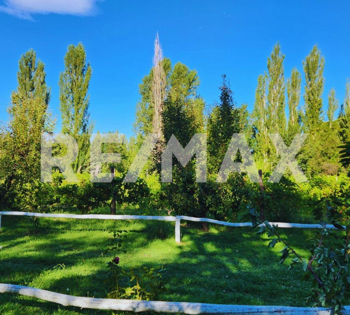 En Venta | 1hectárea | Los Canales | Plottier 1