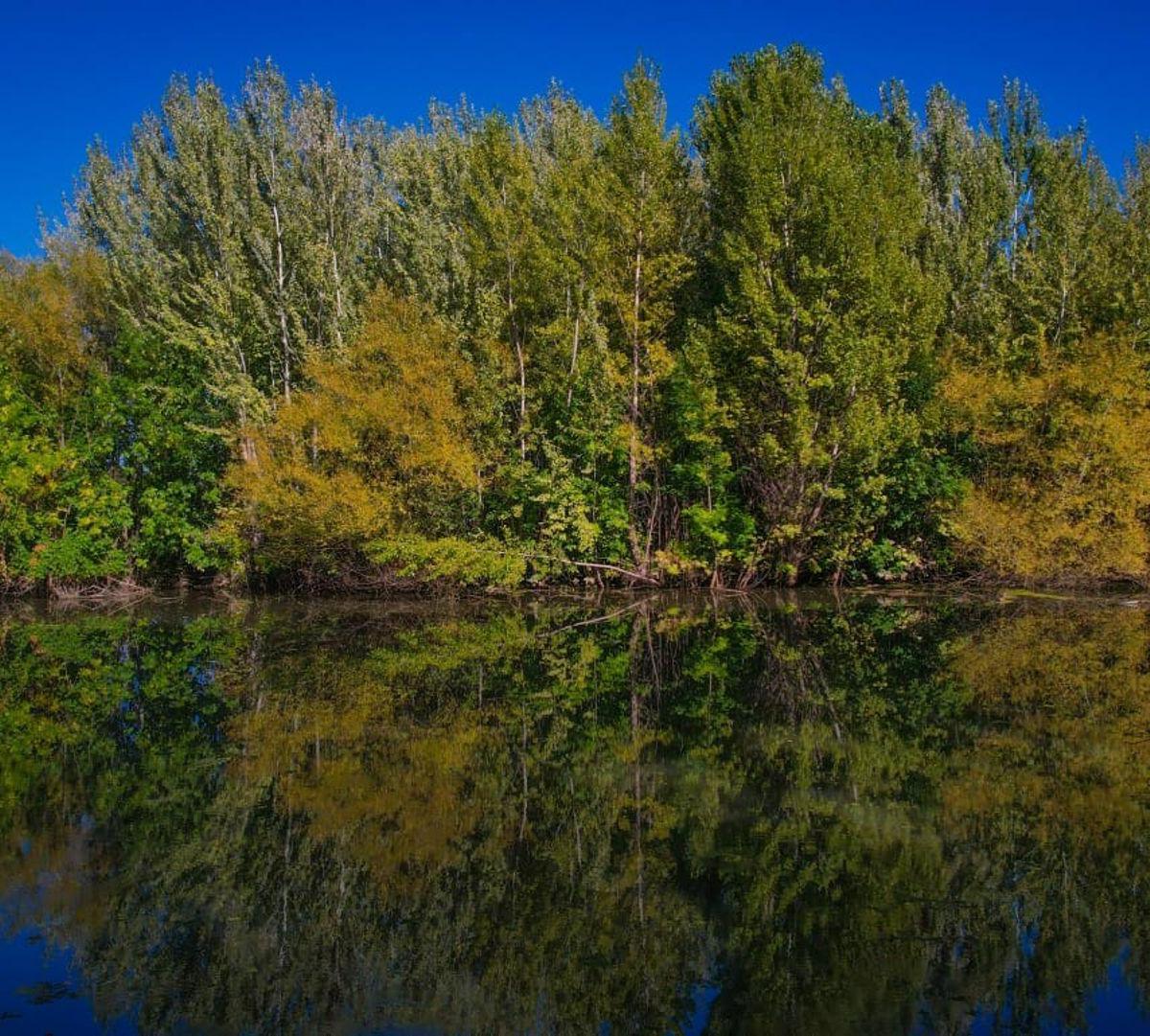 Venta La Reserva B° Cerrado, Zona de Fincas 2