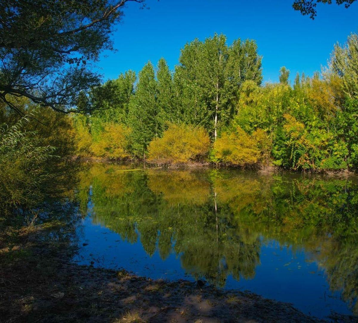 Venta La Reserva B° Cerrado, Zona de Fincas 3