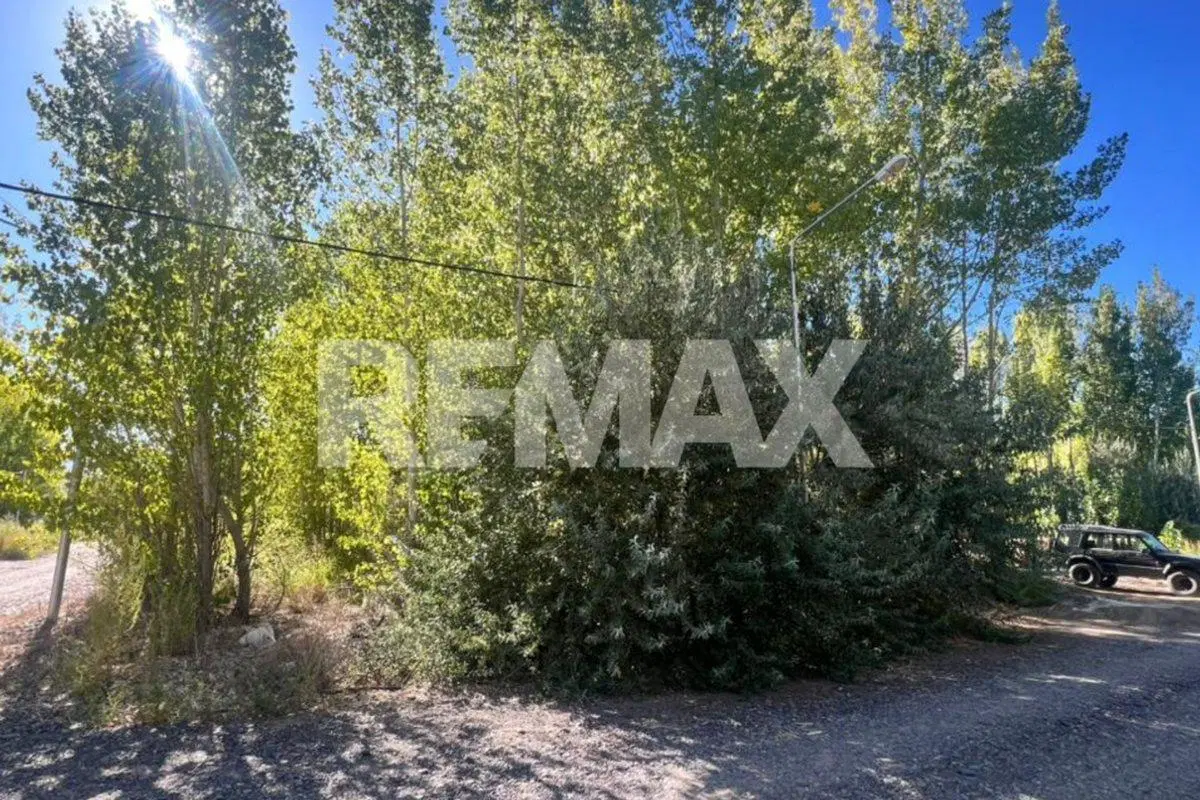 LOTE EN LA FORESTADA AÑELO, NEUQUEN 4