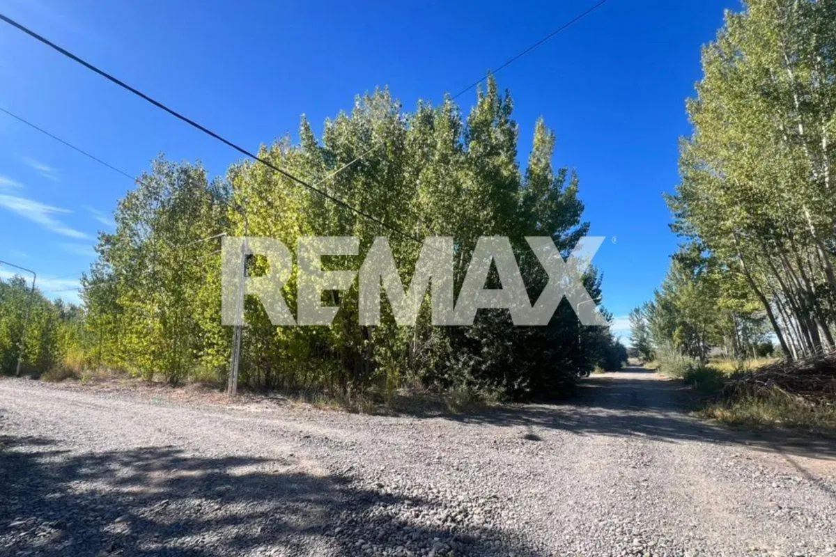 LOTE EN LA FORESTADA AÑELO, NEUQUEN 2