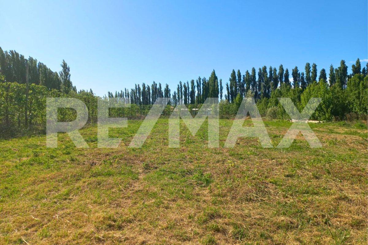 VENTA LOTE 5.000 M2 RESIDENCIAL CENTENARIO
