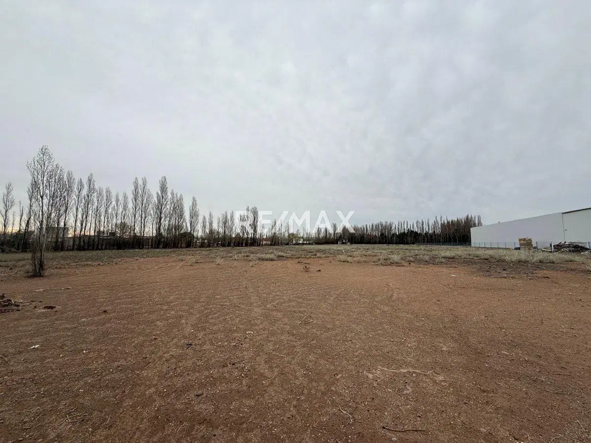 Venta chacra 2 hectáreas - Plottier frente a ruta 5