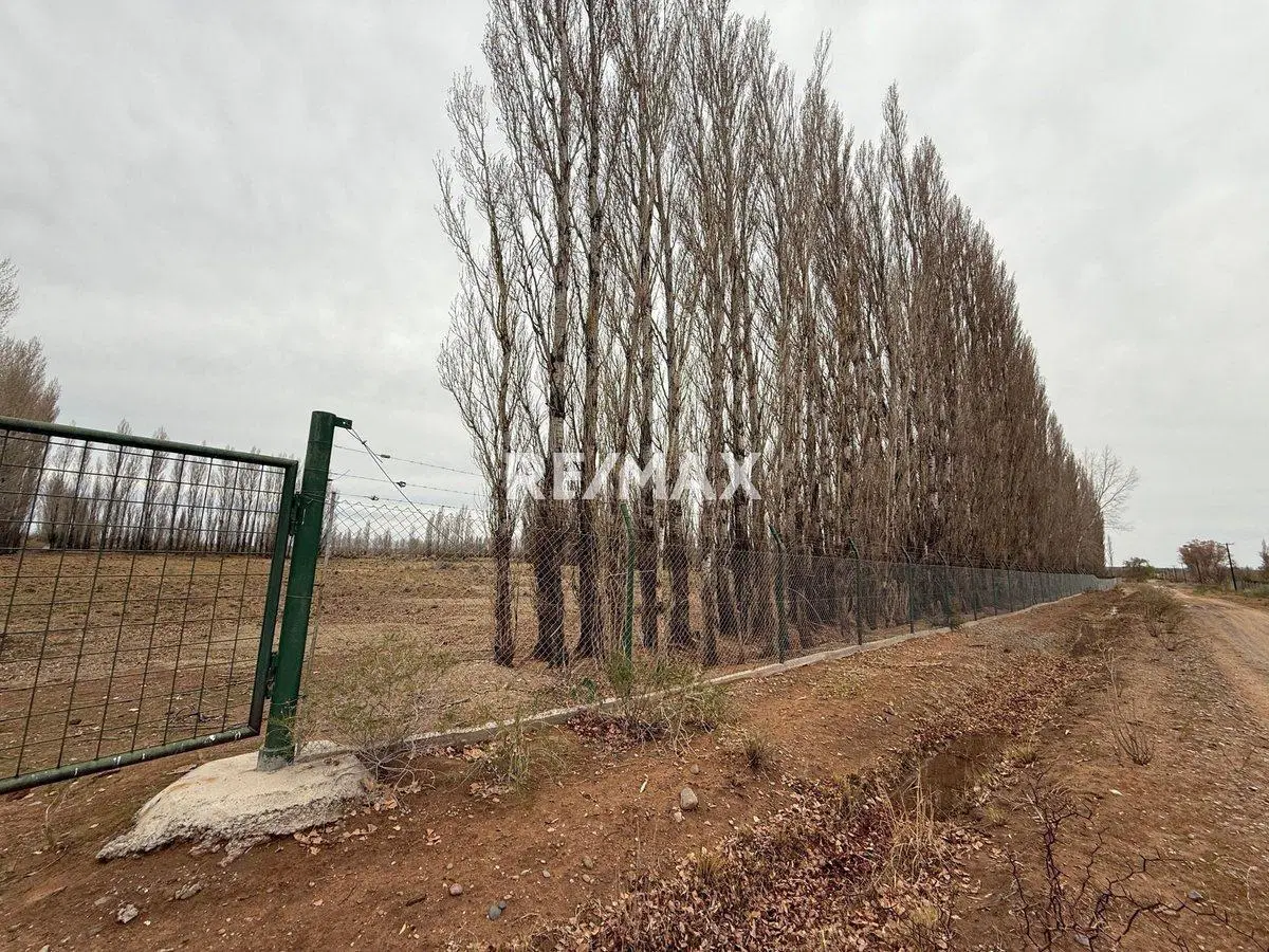 Venta Chacra 10 hectáreas -  China muerta 2