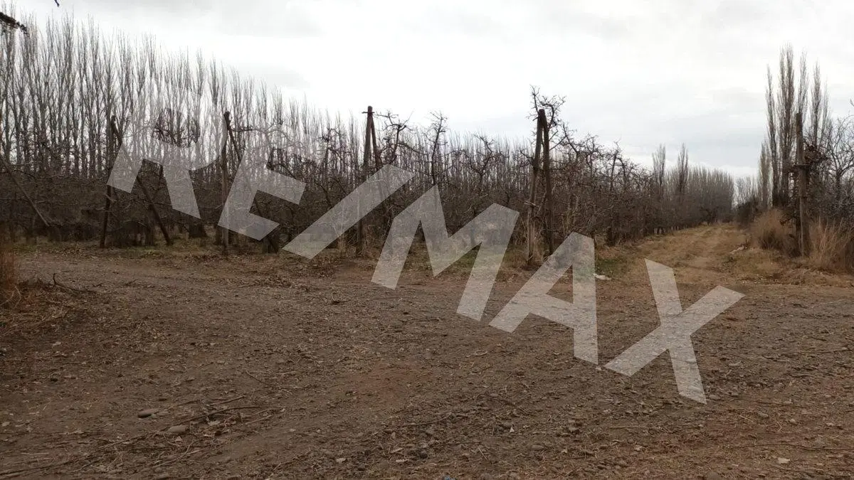 VENTA DE HECTAREAS - FRENTE RUTA 7 - VISTA ALEGRE 5