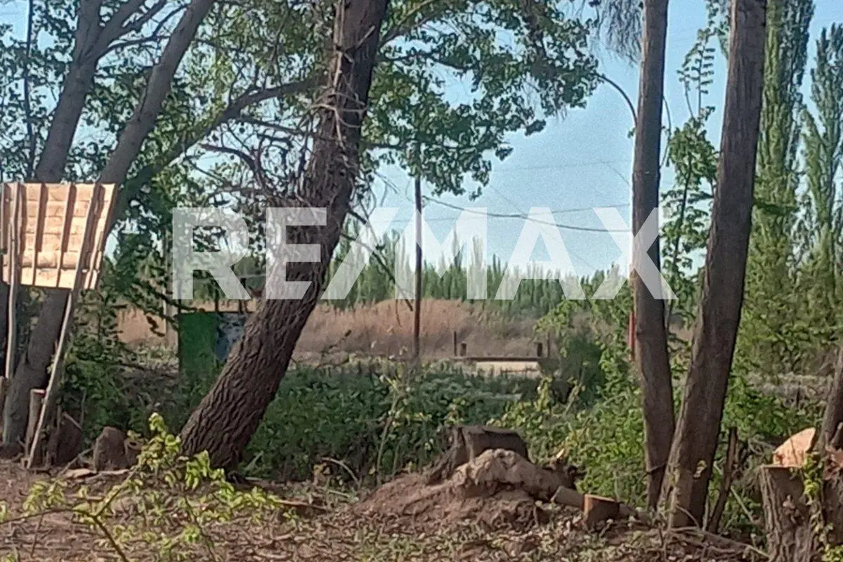 VENTA DE CHACRA EN CIPOLLETI SOBRE RUTA 151 3