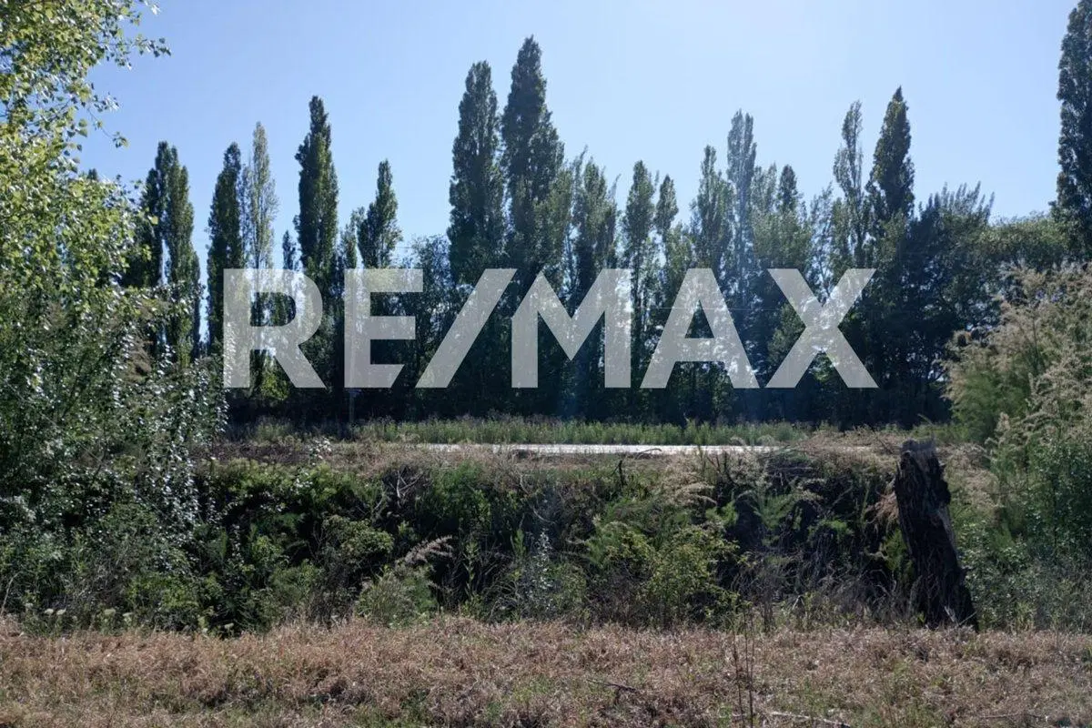 VENTA DE CHACRA EN CIPOLLETI SOBRE RUTA 151 2