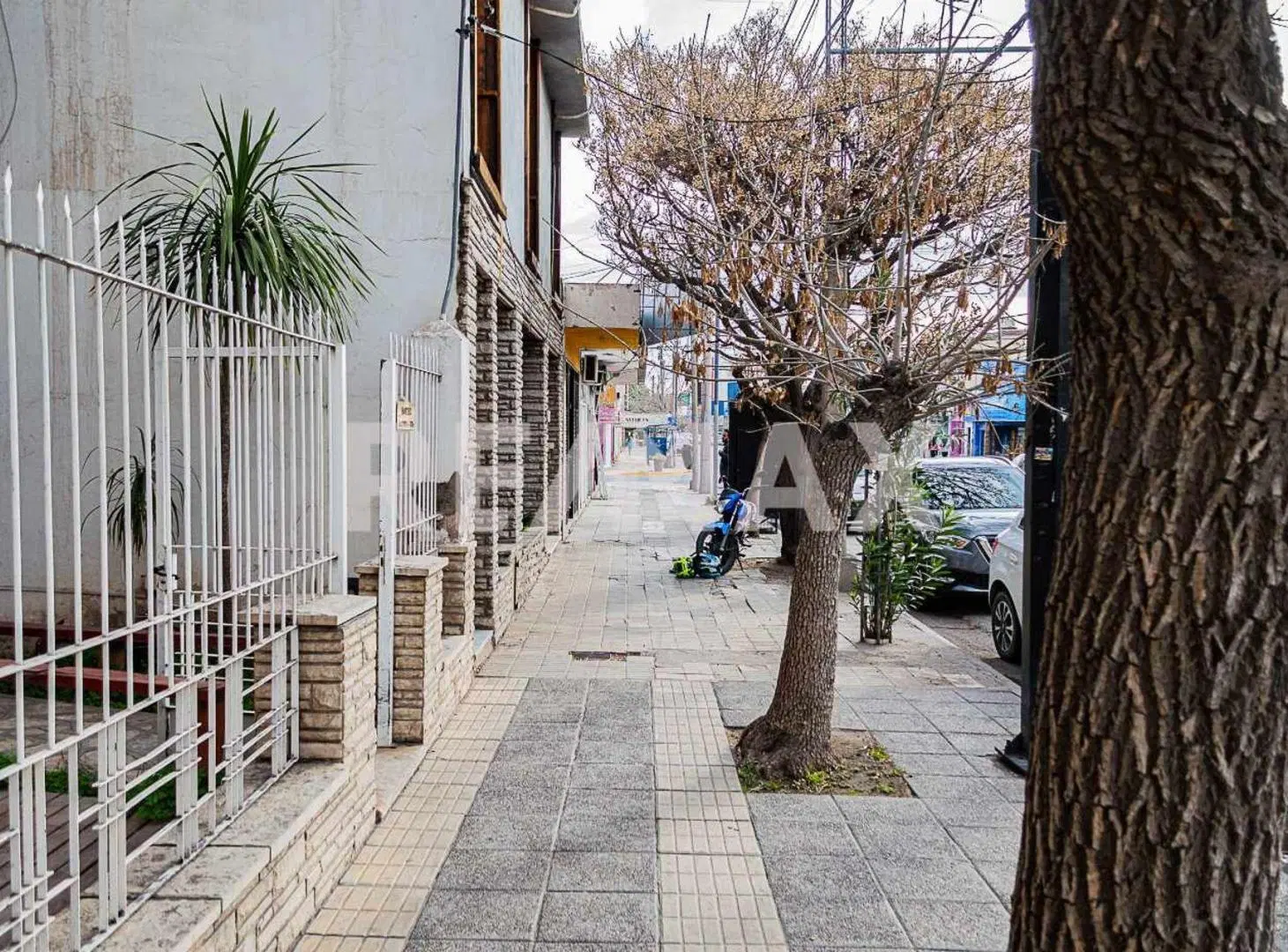 Venta casa sobre calle Alcorta  - Uso Comercial . 3