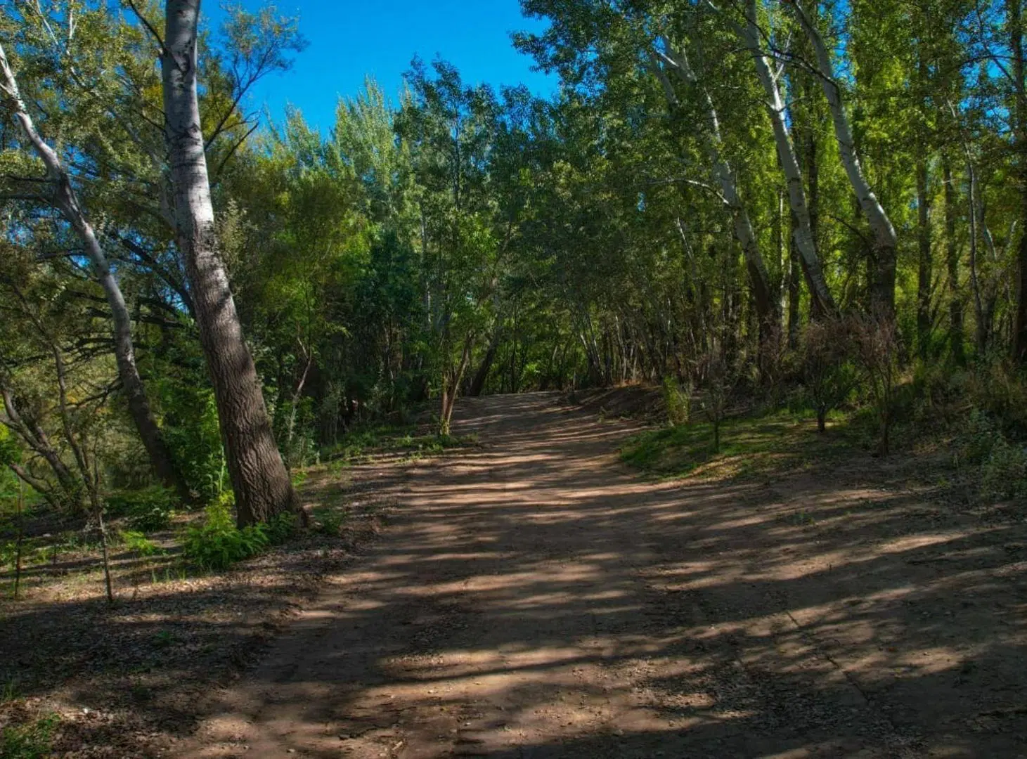 RE/MAX VENDE EN EXCLUSIVA 8