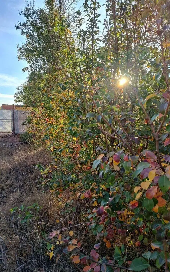 VENTA TERRENO  360 M2 B° EL MANZANAR PLOTTIER 3