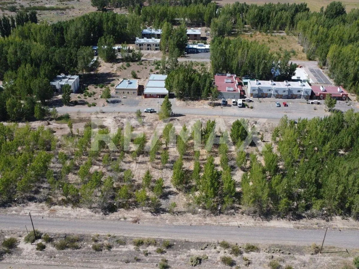 VENTA - TERRENO - LA FORESTADA - AÑELO 5