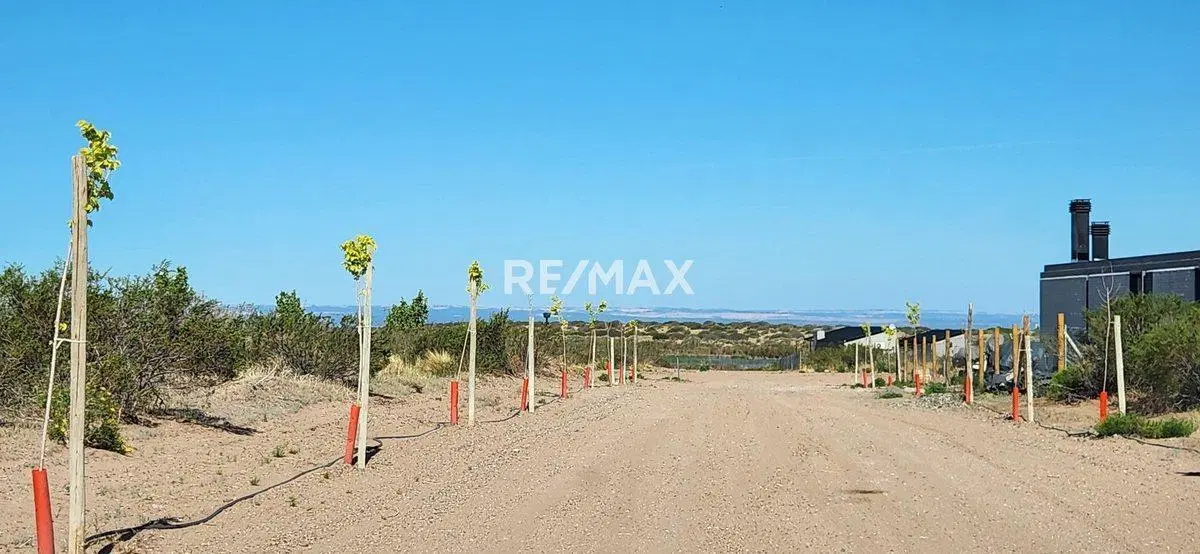 LOTE EN VENTA | CHOCON MEDIO | ETAPA MEDANOS 5
