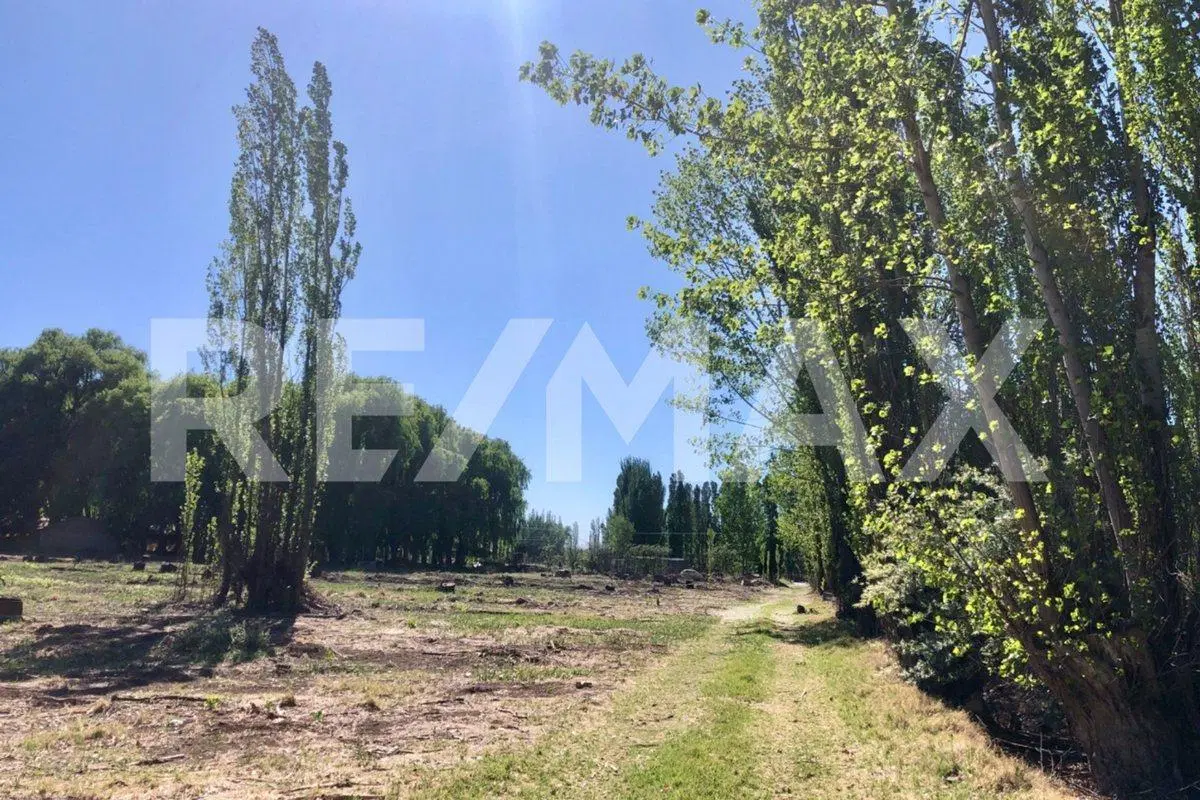 PRE VENTA! Loteo Finca Cardales, Cipolletti 5