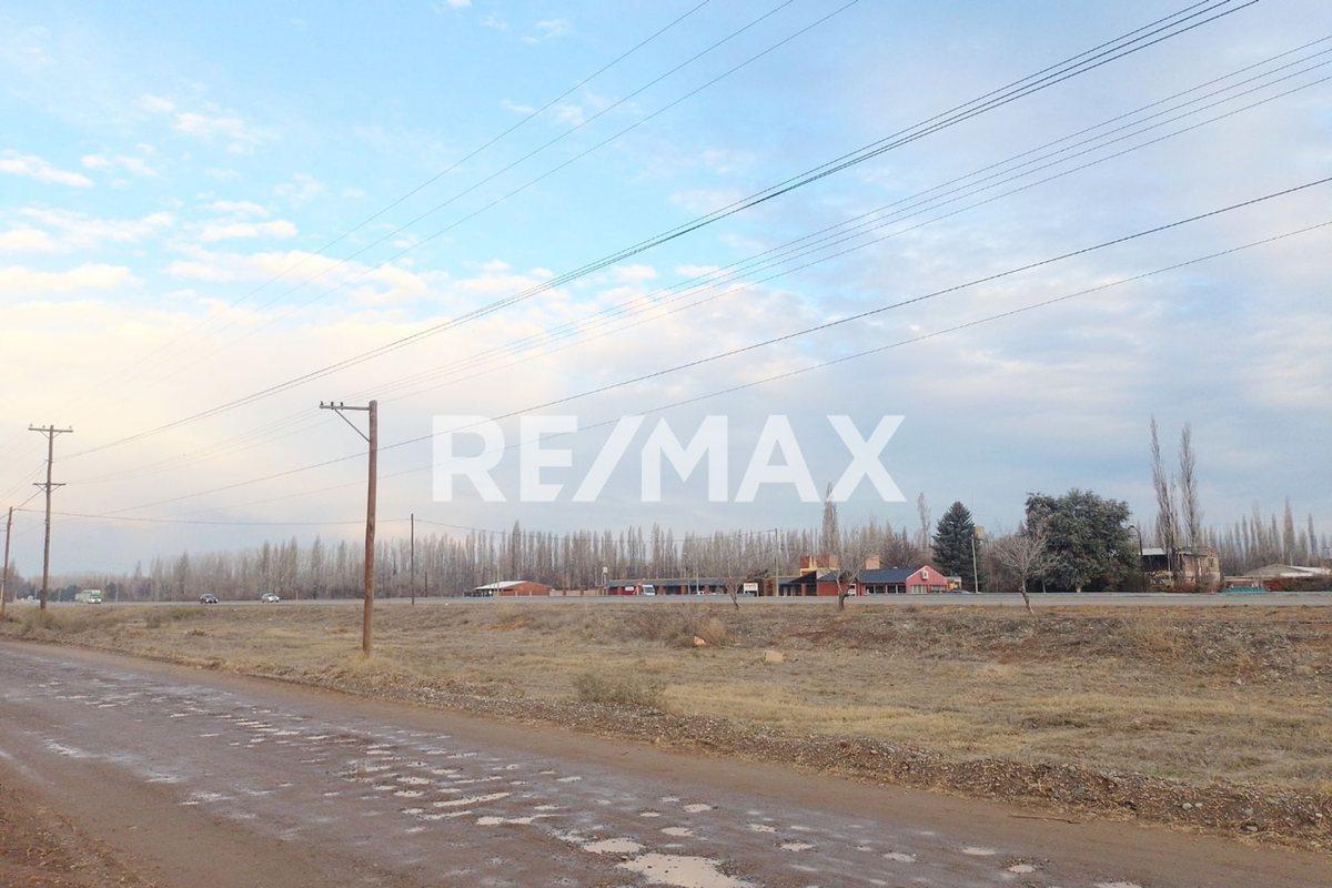 Foto de LOTE COMERCIAL/INDUSTRIAL EN VENTA, imagen 1
