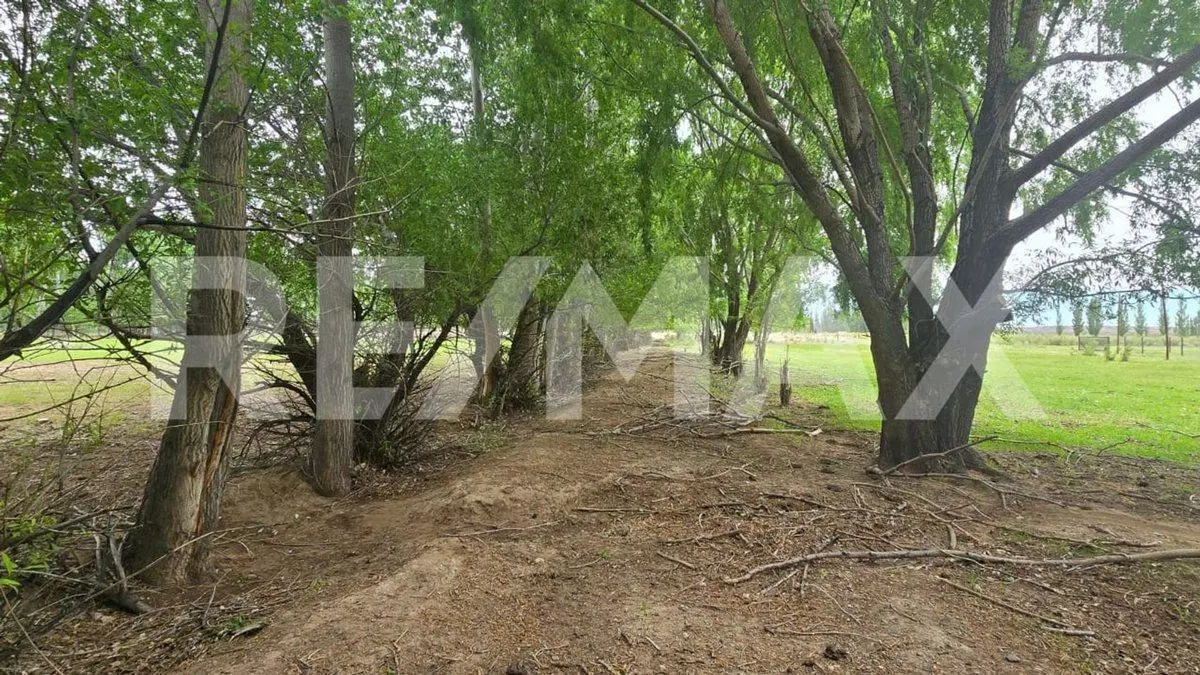 LOTE DE 2.500 M2 - LEJOS DE BS AS - SENILLOSA 5