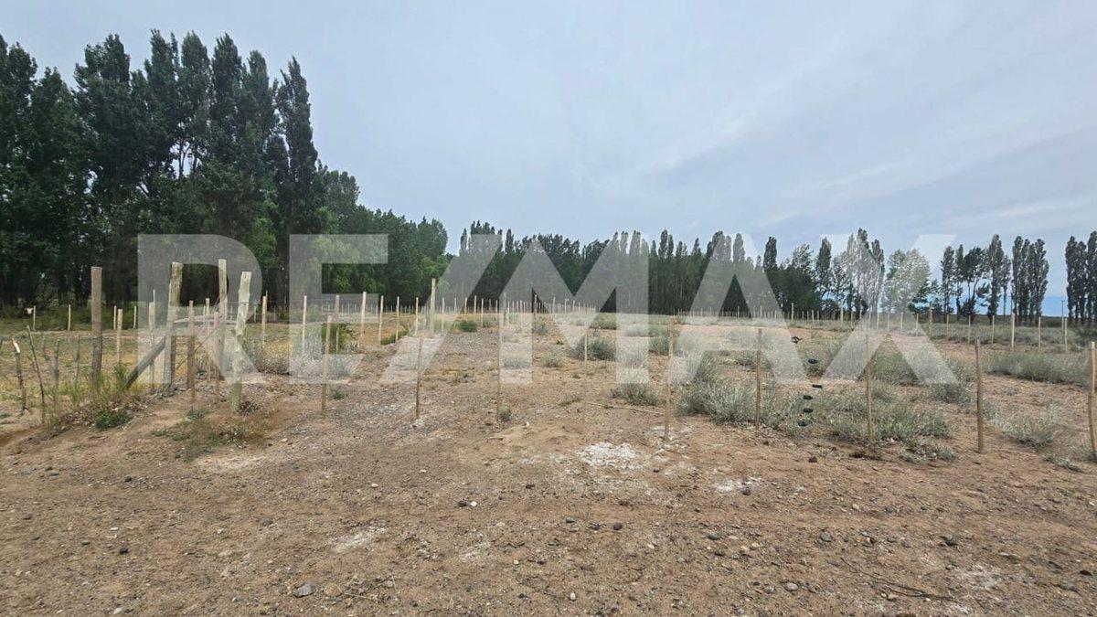 LOTE DE 2.500 M2 - LEJOS DE BS AS - SENILLOSA