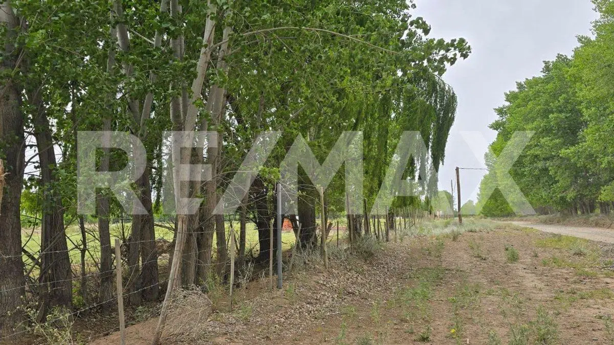 LOTE DE 2.500 M2 - LEJOS DE BS AS - SENILLOSA 2