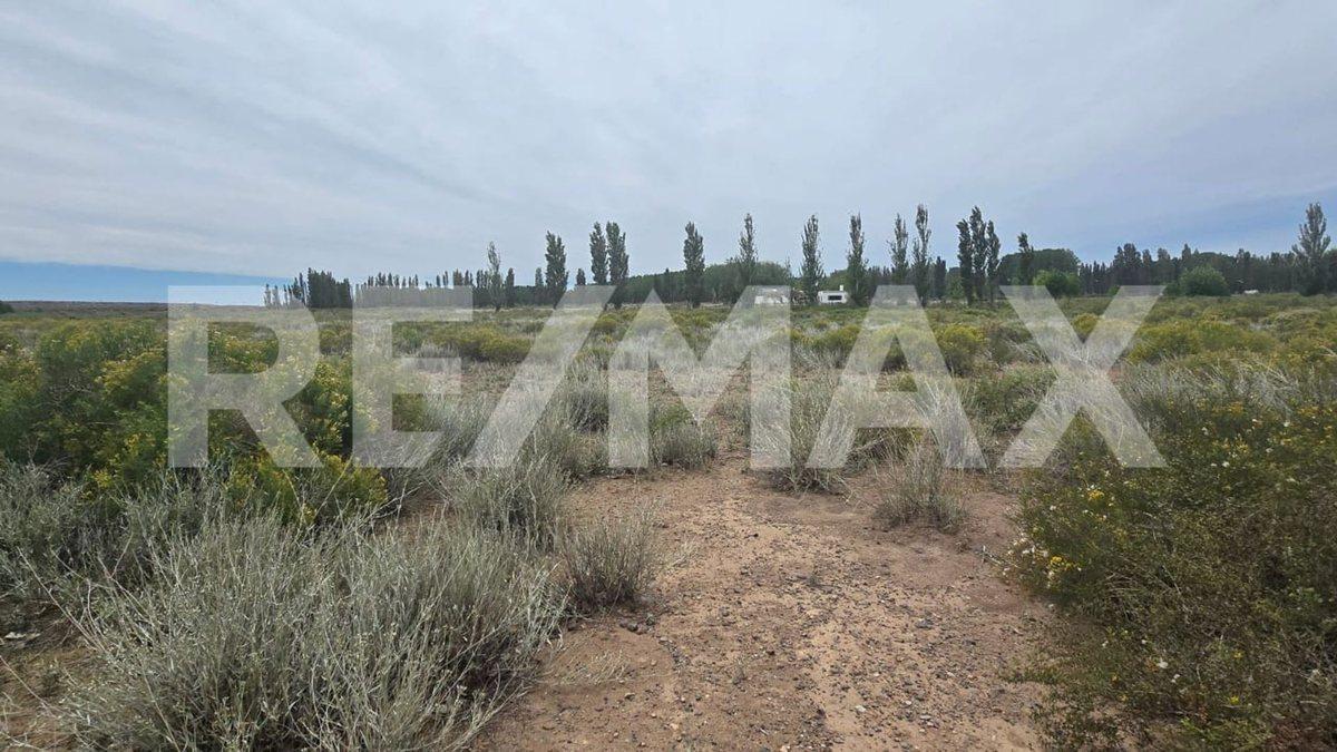 LOTE DE 2.500 M2 - LEJOS DE BS AS - SENILLOSA