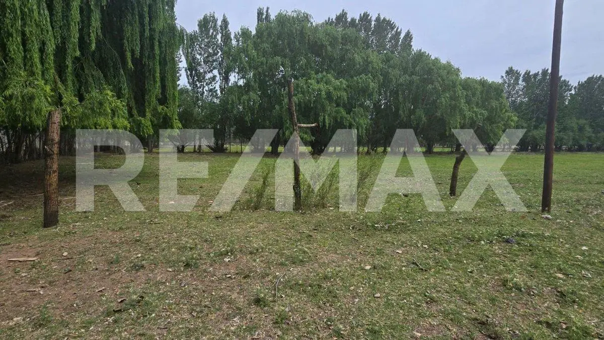 LOTE DE 2.500 M2 - LEJOS DE BS AS - SENILLOSA 3