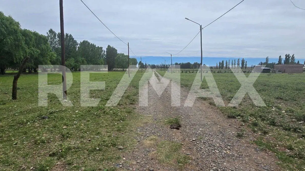 LOTE DE 2.500 M2 - LEJOS DE BS AS - SENILLOSA 4