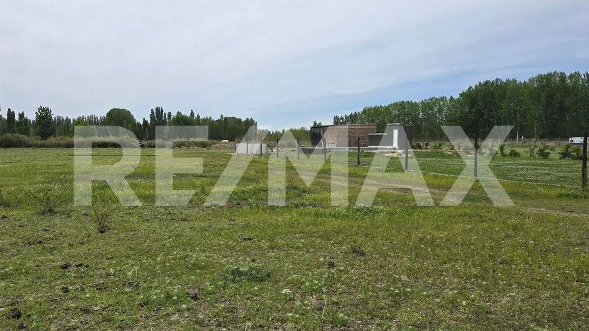 LOTE DE 2.500 M2 - LEJOS DE BS AS  II - SENILLOSA 2
