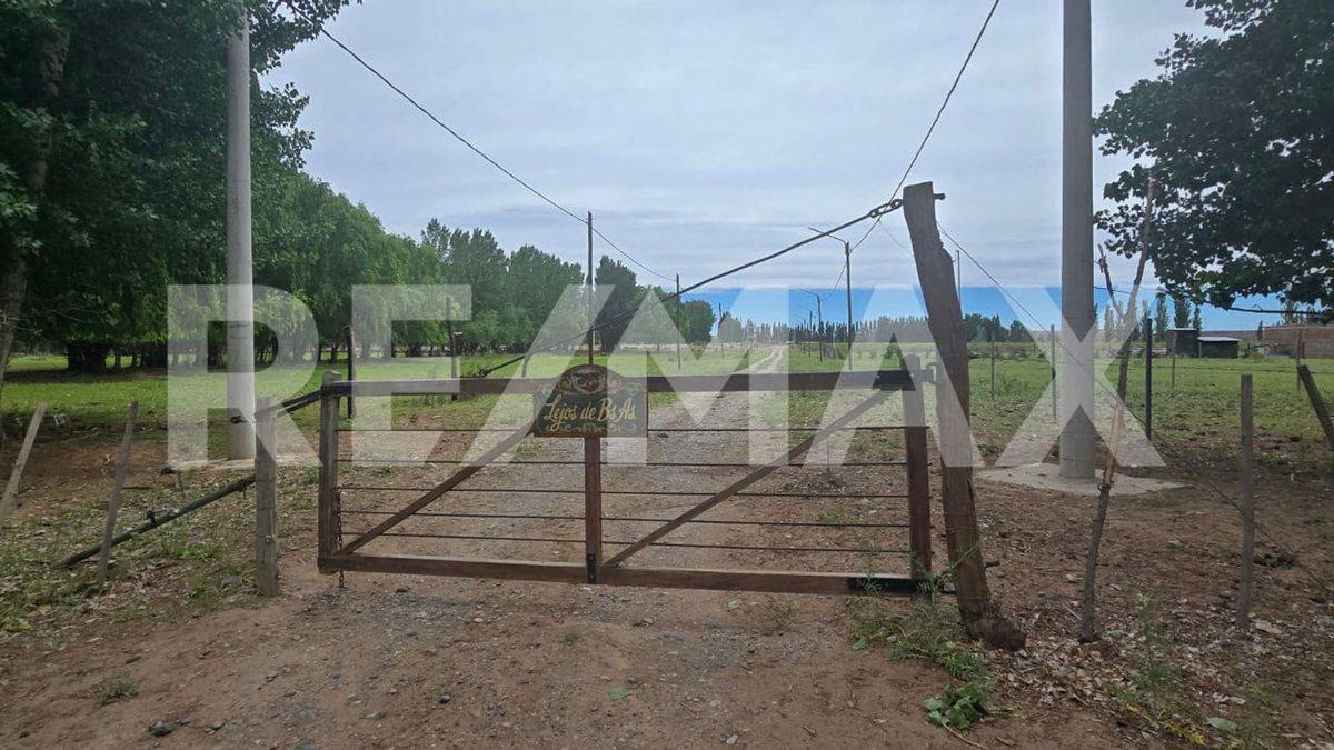 LOTE DE 2.500 M2 - LEJOS DE BS AS II - SENILLOSA