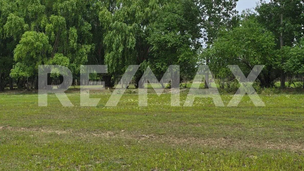 LOTE DE 2.500 M2 - LEJOS DE BS AS  II - SENILLOSA 5