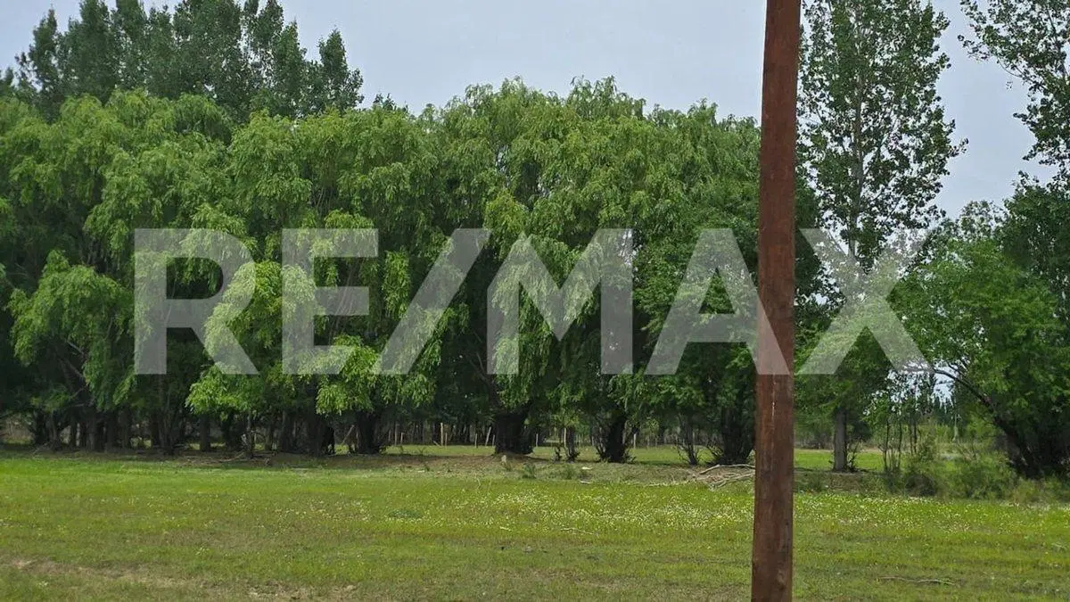 LOTE DE 2.500 M2 - LEJOS DE BS AS  II - SENILLOSA 3