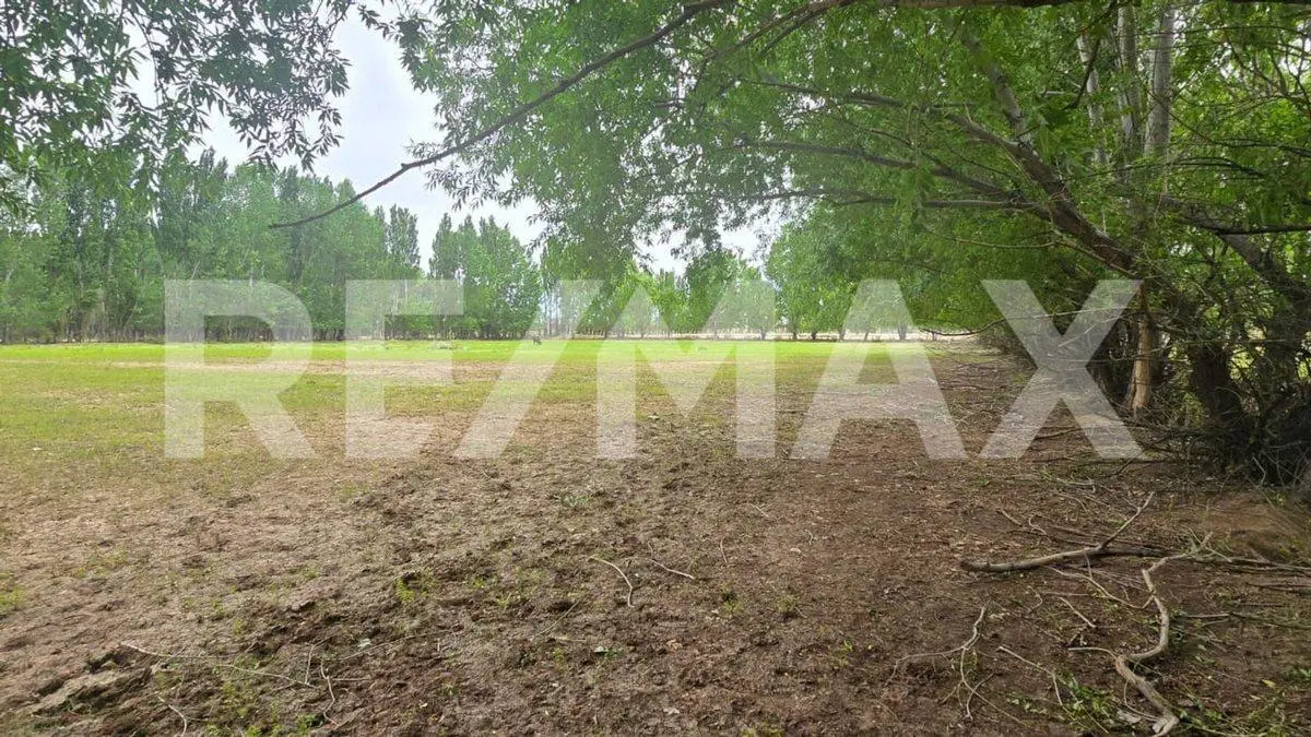 LOTE DE 2.500 M2 - LEJOS DE BS AS  II - SENILLOSA 4