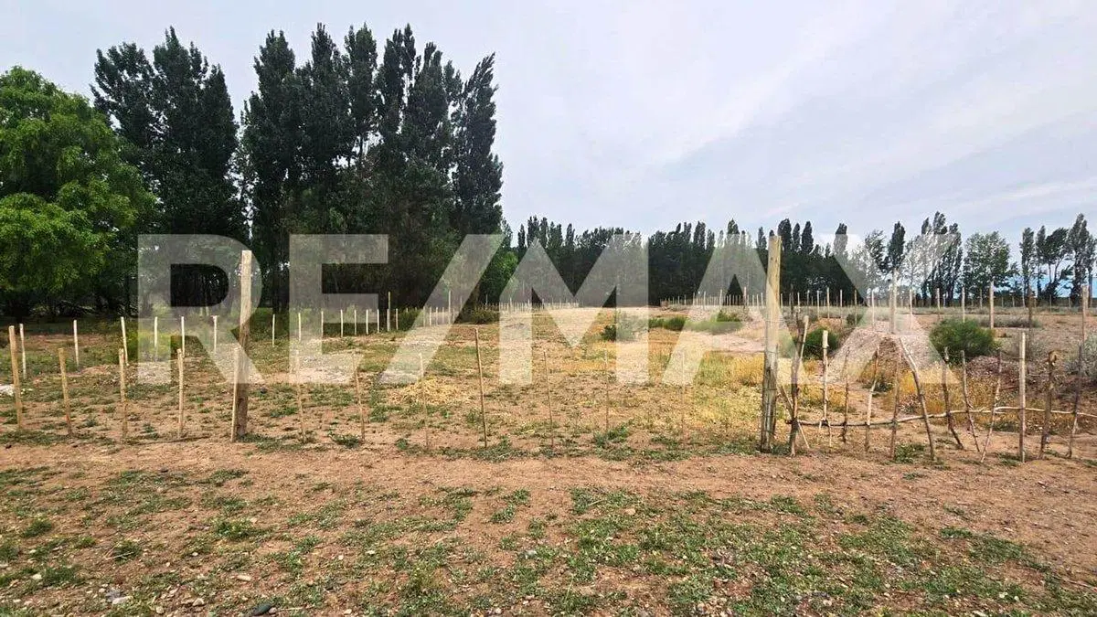 VENTA LOTE DE 2.500 M2 EN SENILLOSA 5